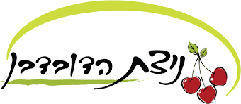 לוגו