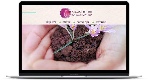 Read more about the article פתרונות לחנות ווקומרס בוורדפרס