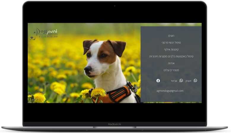 בניית אתר וורדפרס לטיפול באמצעות כלבים